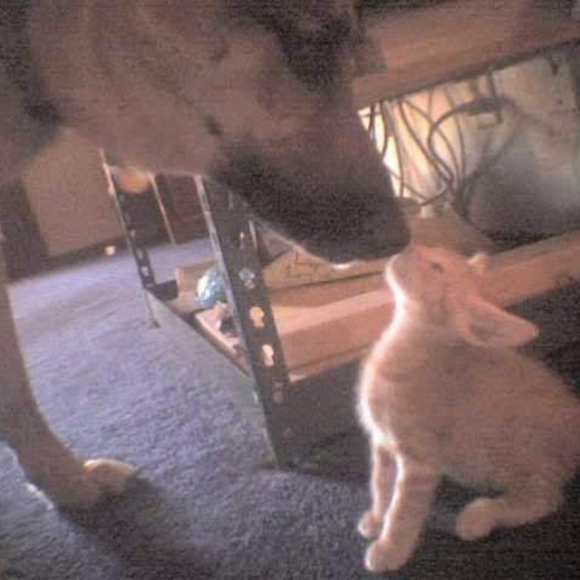 Meet your Posher, Tamra. So far, I just buy things here. The pics are about me. - Picture 12 of 16